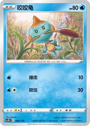 Chewtle Card