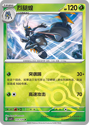Lokix Card