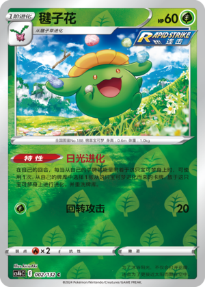 Skiploom Card