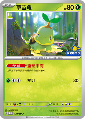 Turtwig Card