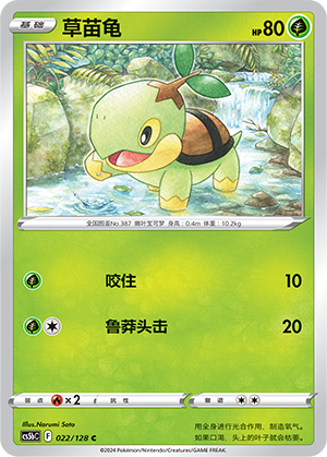 Turtwig Card
