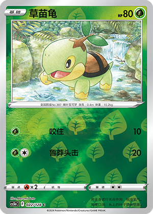 Turtwig Card