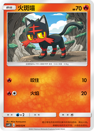 Litten Card