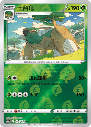 Torterra Card