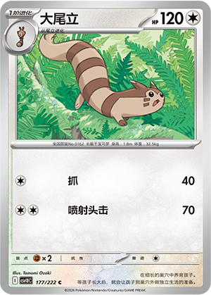 Furret Card