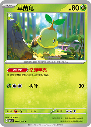 Turtwig Card