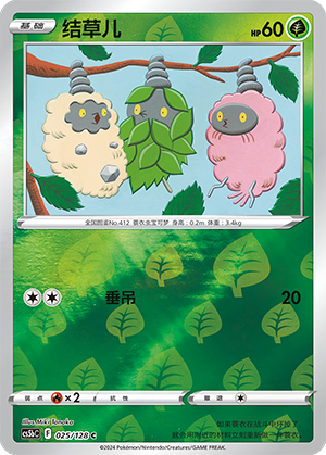 Burmy Card