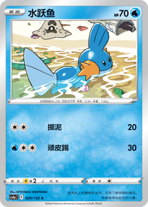 Mudkip Card