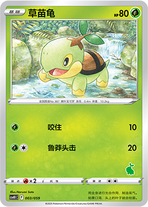 Turtwig Card