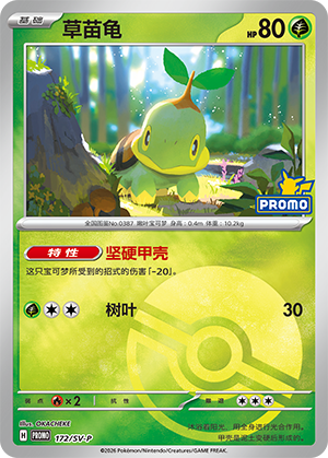 Turtwig Card
