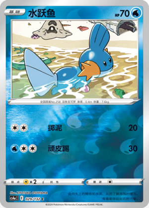 Mudkip Card