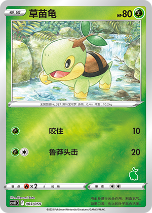 Turtwig Card