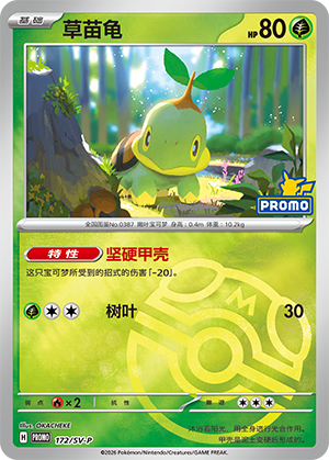 Turtwig Card