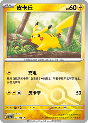 Pikachu Card