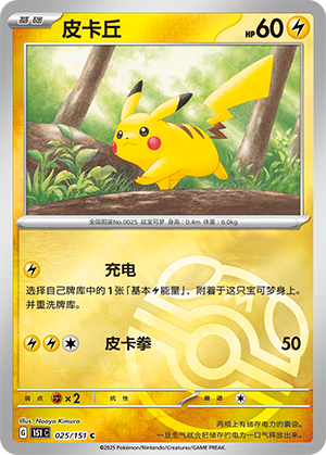 Pikachu Card