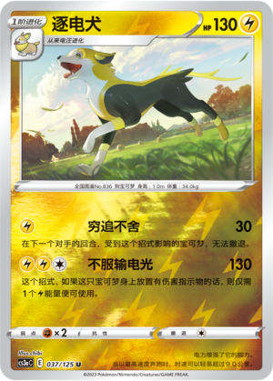 Boltund Card