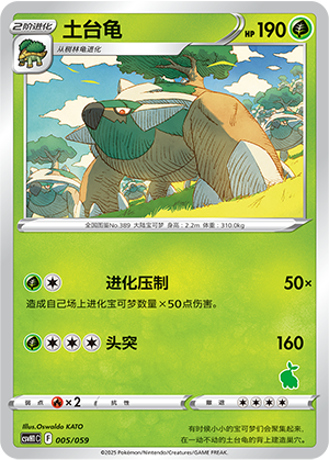 Torterra Card