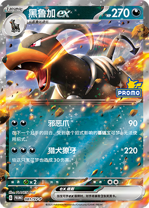 Houndoom ex Card