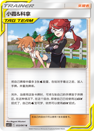 [Trainer] Misty & Lorelei Card