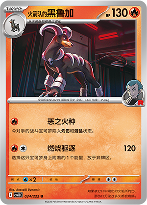 Team Rocket's Houndoom Card