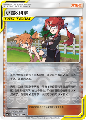 [Trainer] Misty & Lorelei Card