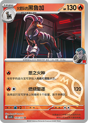 Team Rocket's Houndoom Card