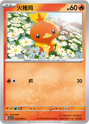 Torchic Card